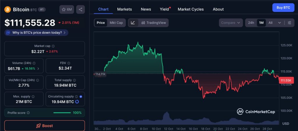 Bitcoin price analysis chart showing BTC one-month performance between $107K and $116K with current value near $113K.