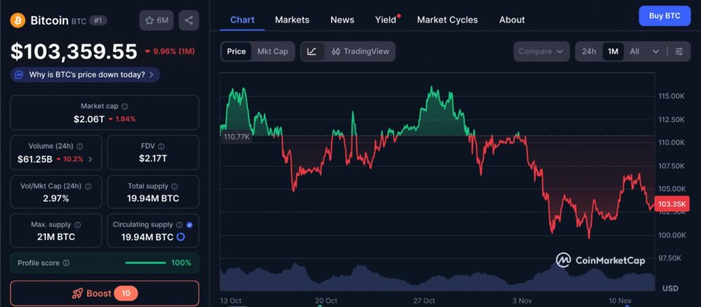 Bitcoin Price one-month chart from CoinMarketCap showing November volatility and sideways trading trend near $103,000.