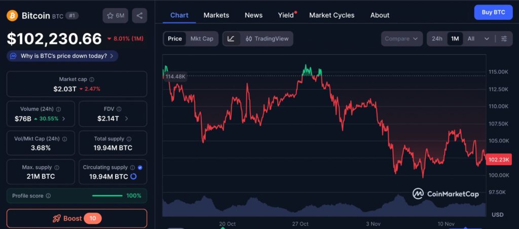 Bitcoin 1-month price chart showing volatility and resistance near 106K, reflecting market reactions to whale accumulation and recent BTC recovery attempts.