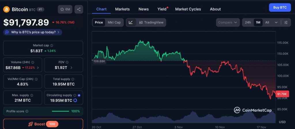 One-month Bitcoin price chart showing recent market decline and volatility, illustrating how Institutional Investors are navigating the crypto downturn.