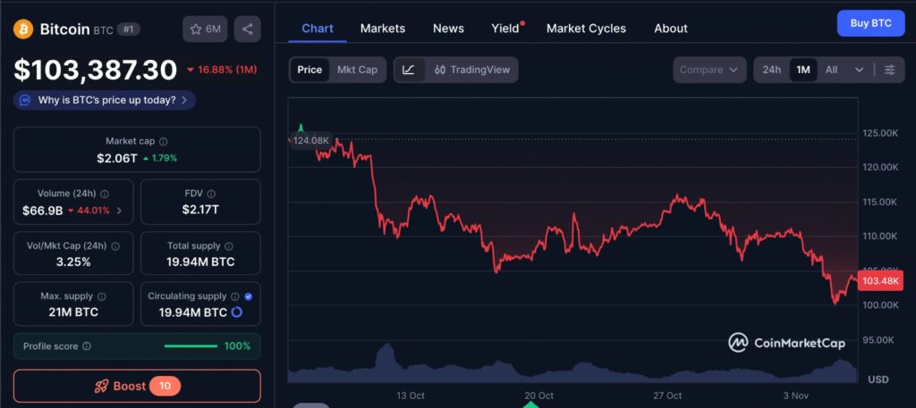 Bitcoin Price Rebound chart showing one-month BTC price movement around $100,000 to $103,000 with visible market volatility and consolidation trend.