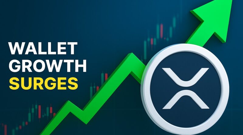 XRP wallet growth: stylized gold coin with geometric X; teal whale silhouette rising; wallet icons and dotted upward path; faint ledger nodes and rebound price chart