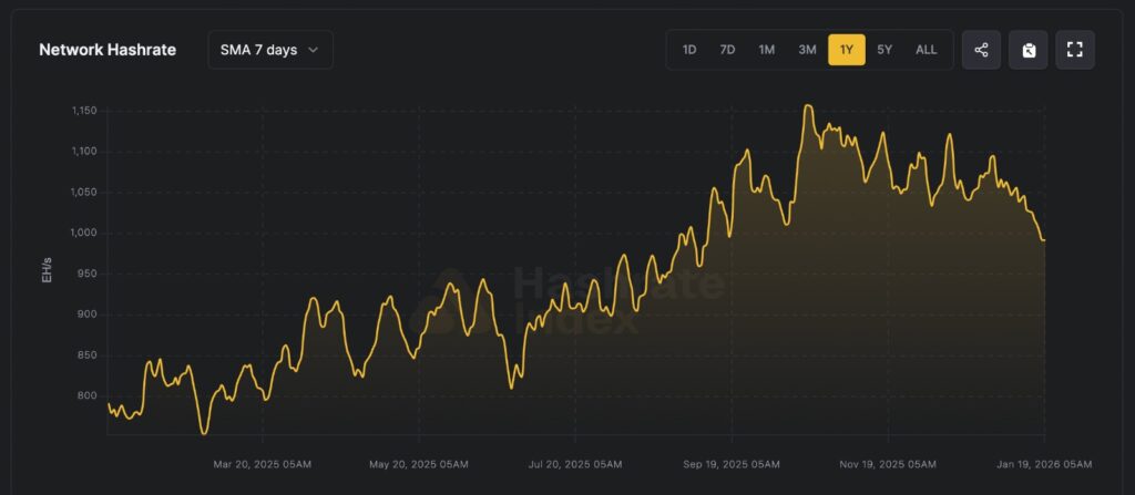 Bitcoin Hashrate chart showing network mining power trends over the past one month