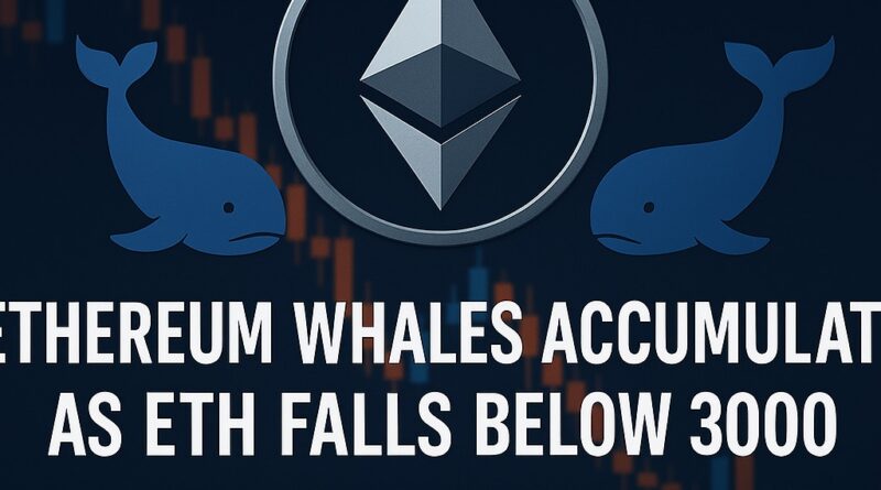 Ethereum Whales accumulate ETH as price dips below 3000, signaling strategic buying during market weakness