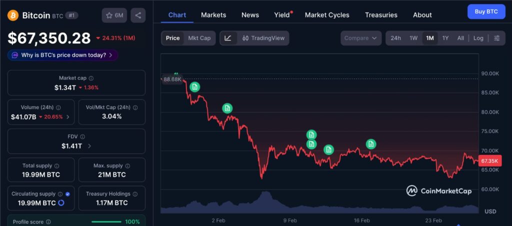Bitcoin Bear Market BTC price chart showing 1 month price movement with rejection near 70000 and consolidation around 67000